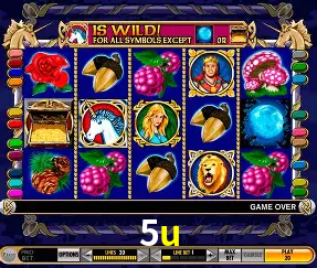 VIP Casino 5u
